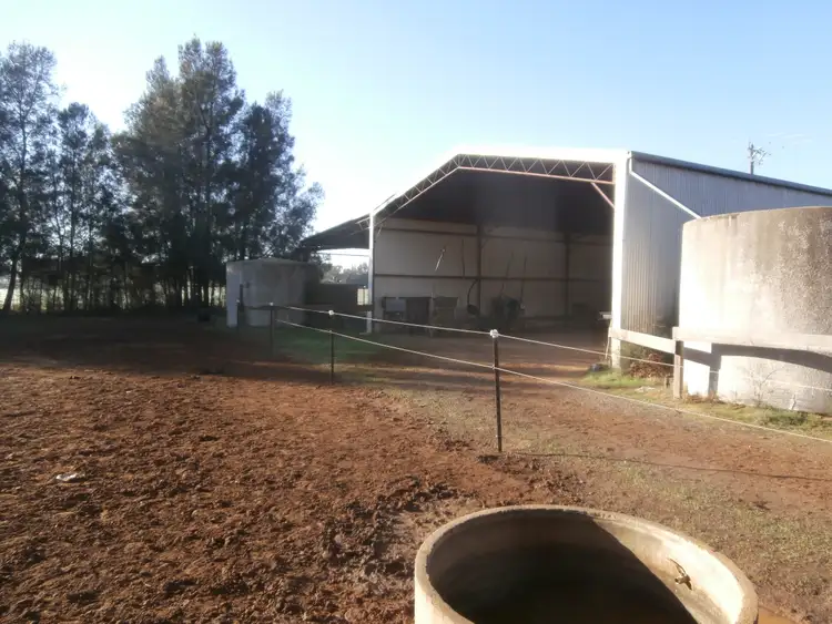 Third view of Homely rural property listing, 842 Dingee-Serpentine Road, Dingee VIC 3571