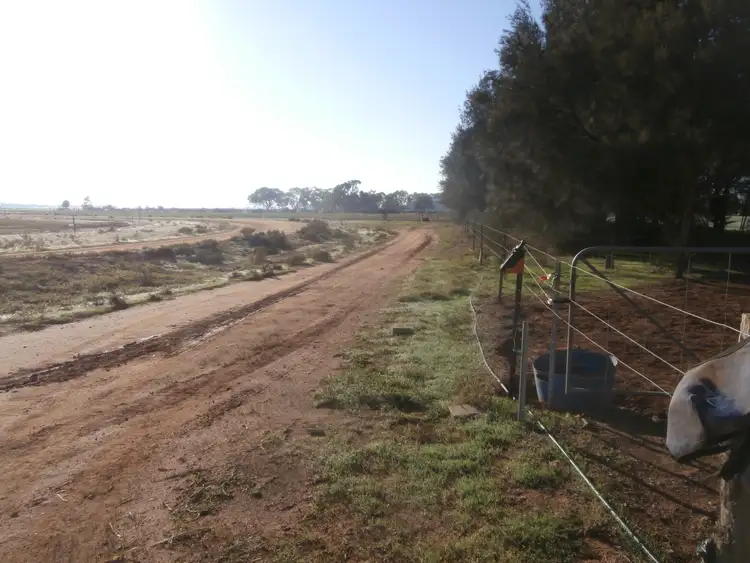 Fourth view of Homely rural property listing, 842 Dingee-Serpentine Road, Dingee VIC 3571