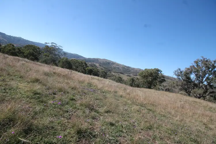 Main view of Homely rural property listing, 2284 PEMBROKE ROAD, Cassilis NSW 2329