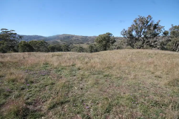 Second view of Homely rural property listing, 2284 PEMBROKE ROAD, Cassilis NSW 2329
