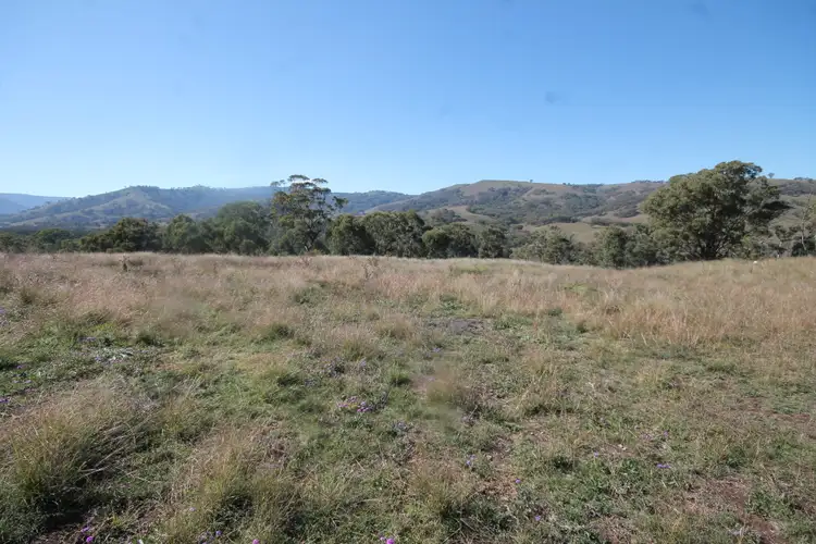 Third view of Homely rural property listing, 2284 PEMBROKE ROAD, Cassilis NSW 2329