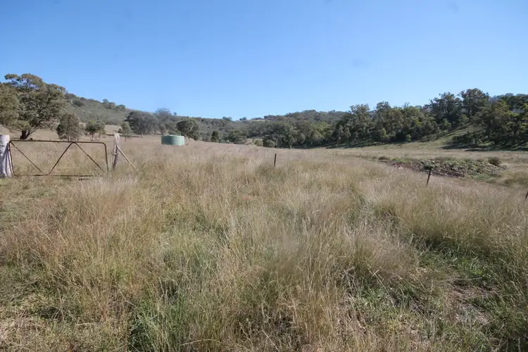 Fifth view of Homely rural property listing, 2284 PEMBROKE ROAD, Cassilis NSW 2329