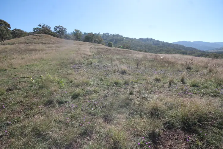Sixth view of Homely rural property listing, 2284 PEMBROKE ROAD, Cassilis NSW 2329