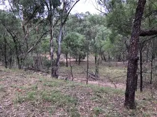 Fourth view of Homely rural property listing, 1981 WOLLARA ROAD, Merriwa NSW 2329