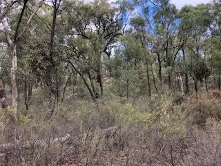 Sixth view of Homely rural property listing, 1981 WOLLARA ROAD, Merriwa NSW 2329