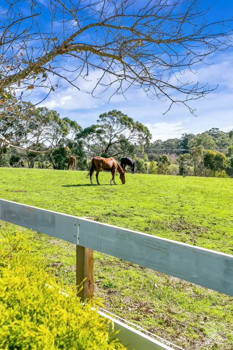 Second view of Homely rural property listing, 89 Pound Road, Macclesfield SA 5153