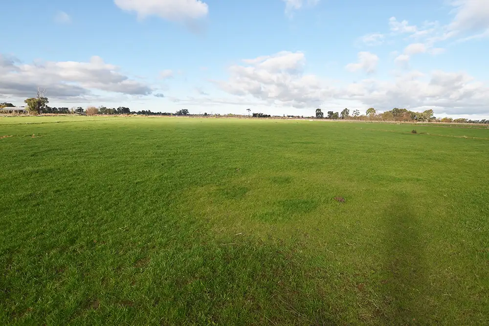 Main view of Homely rural property listing, 843 Dunbar Road, Merrigum VIC 3618