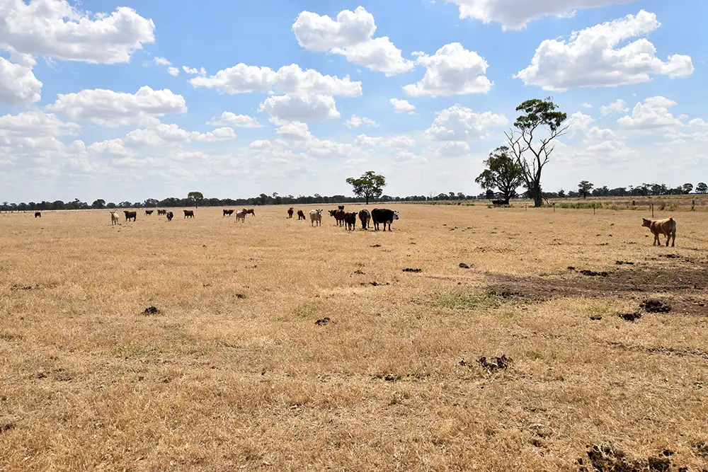 Main view of Homely rural property listing, 761 Zegelin Road, Rushworth VIC 3612