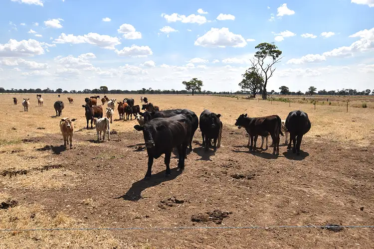 Fifth view of Homely rural property listing, 761 Zegelin Road, Rushworth VIC 3612