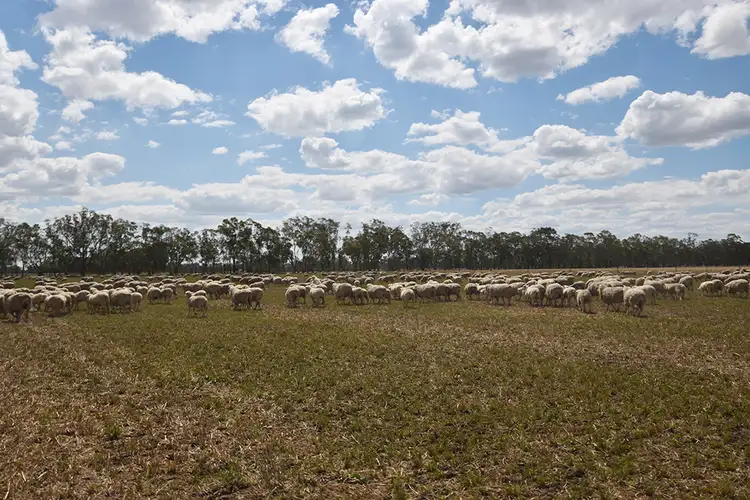 Second view of Homely rural property listing, 550 Fidge Road, Undera VIC 3629