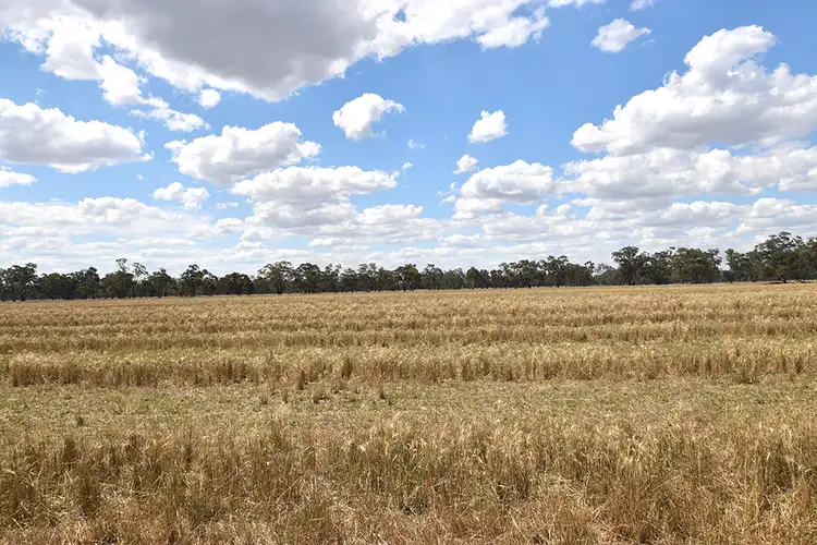 Fifth view of Homely rural property listing, 550 Fidge Road, Undera VIC 3629