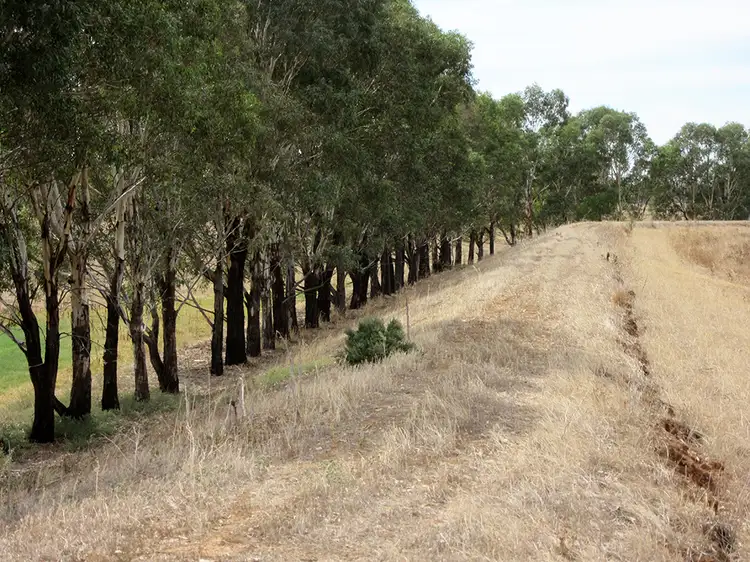 Seventh view of Homely rural property listing, 1023 Webb Road, Timmering VIC 3561