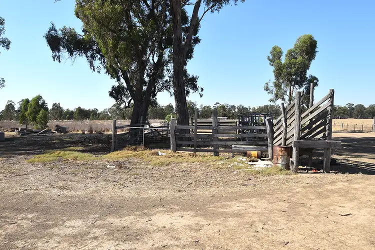 Second view of Homely rural property listing, 805 O'Brien Road, Undera VIC 3629