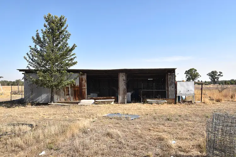 Third view of Homely rural property listing, 805 O'Brien Road, Undera VIC 3629