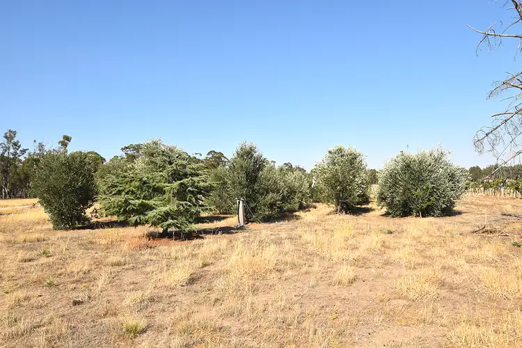 Fourth view of Homely rural property listing, 805 O'Brien Road, Undera VIC 3629