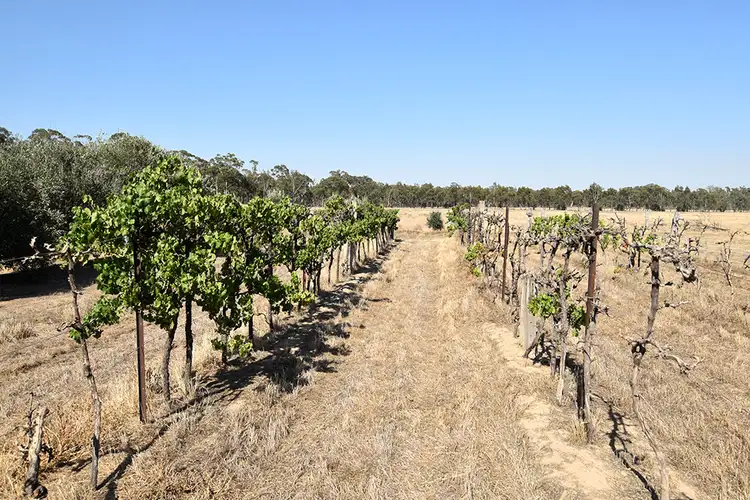 Fifth view of Homely rural property listing, 805 O'Brien Road, Undera VIC 3629