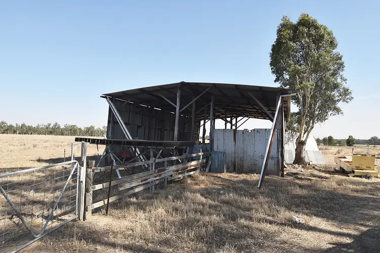 Sixth view of Homely rural property listing, 805 O'Brien Road, Undera VIC 3629