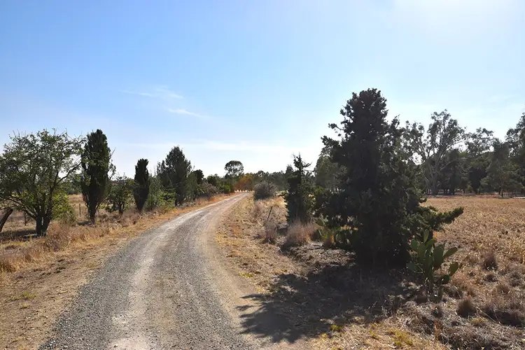 Seventh view of Homely rural property listing, 805 O'Brien Road, Undera VIC 3629