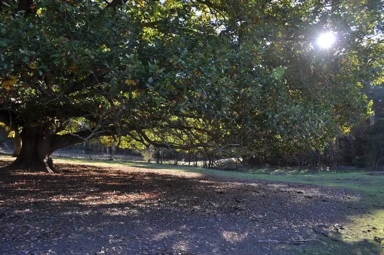 Fifth view of Homely land listing, LOT 4/5222 Mansfield- Woods Point Road, Kevington VIC 3723