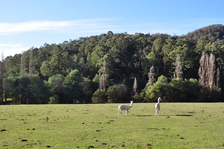 Sixth view of Homely land listing, LOT 4/5222 Mansfield- Woods Point Road, Kevington VIC 3723