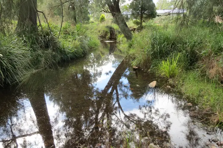 Second view of Homely rural property listing, 1651 Nowendoc Road, Wingham NSW 2429