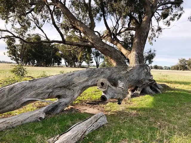 Second view of Homely land listing, LOT CA 19 & 20 Starling Road, Avenel VIC 3664