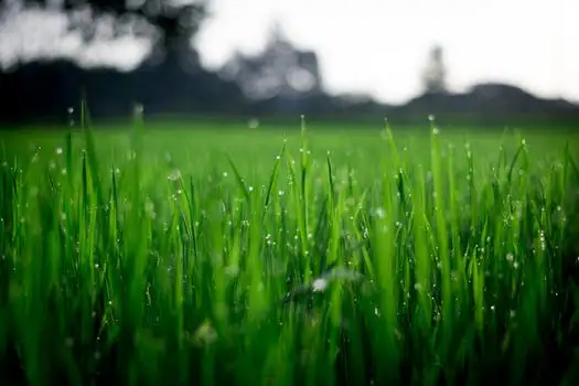 Main view of Homely land listing, LOT 9 Alexander Drive, Ballan VIC 3342
