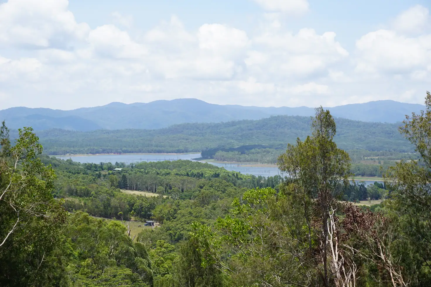 Main view of Homely rural property listing, Lot 51 323 Lloyd Road, Lake Barrine QLD 4884