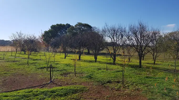Fifth view of Homely rural property listing, 50 School Road, Corop VIC 3559