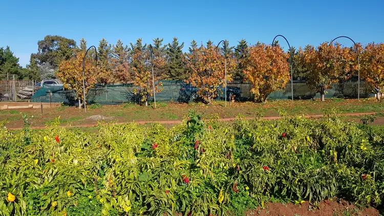 Seventh view of Homely rural property listing, 50 School Road, Corop VIC 3559