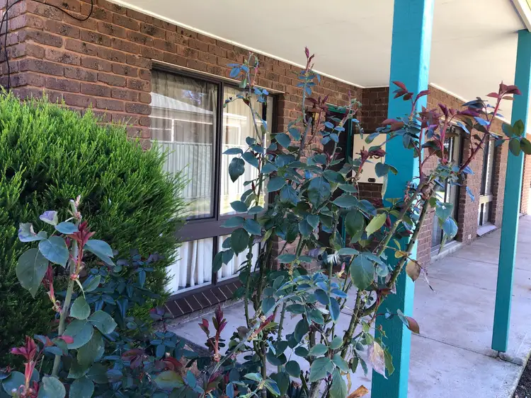 Seventh view of Homely house listing, 43 Shelton Street, Avenel VIC 3664