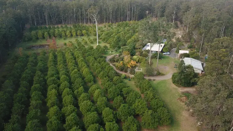 Fourth view of Homely rural property listing, 59 Holden Road, Rainbow Flat NSW 2430