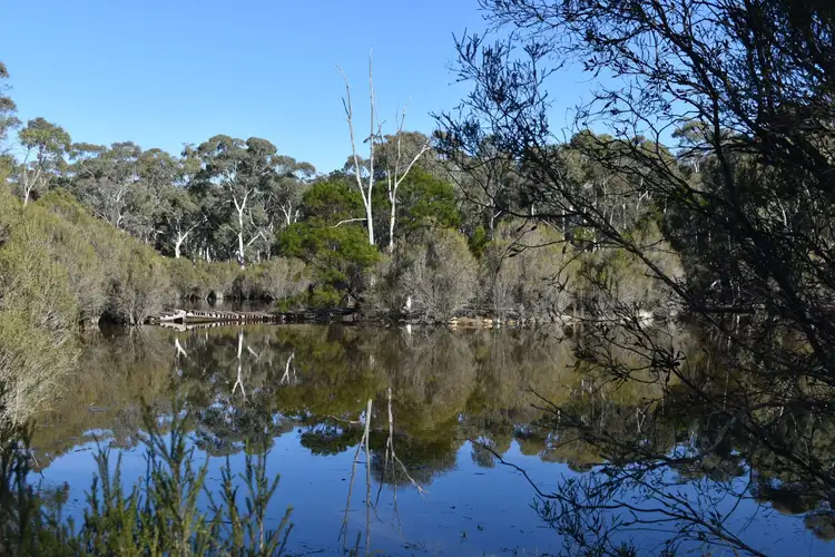 930 Sandy Point Road, Lower Boro NSW 2580