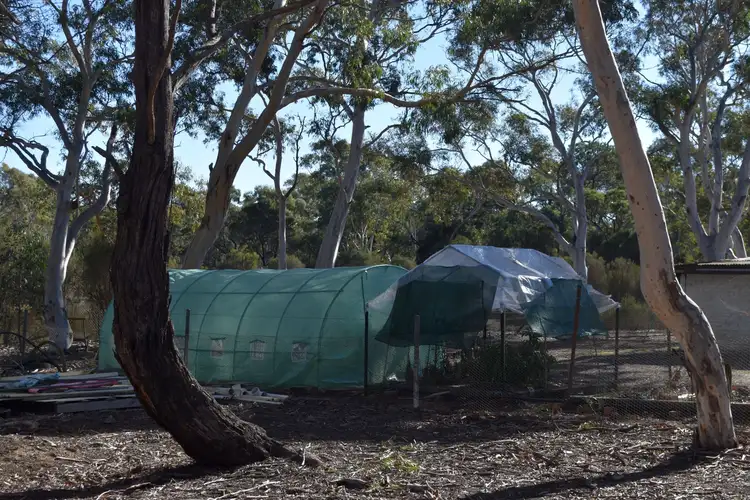 Seventh view of Homely rural property listing, 930 Sandy Point Road, Lower Boro NSW 2580