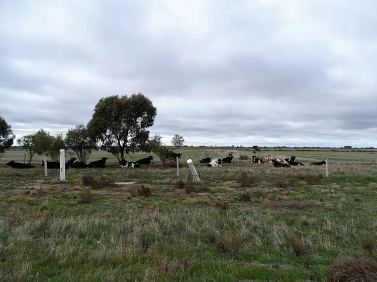 Fourth view of Homely rural property listing, 1784 Kerang-Murrabit Road, Capels Crossing, Kerang VIC 3579