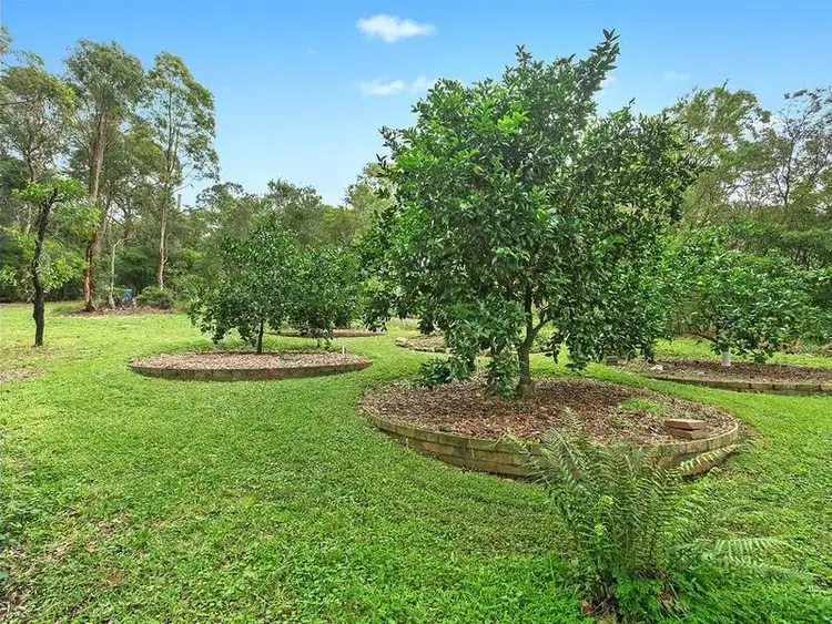 Sixth view of Homely house listing, 67 Hillcrest Parade, Mirrabooka NSW 2264