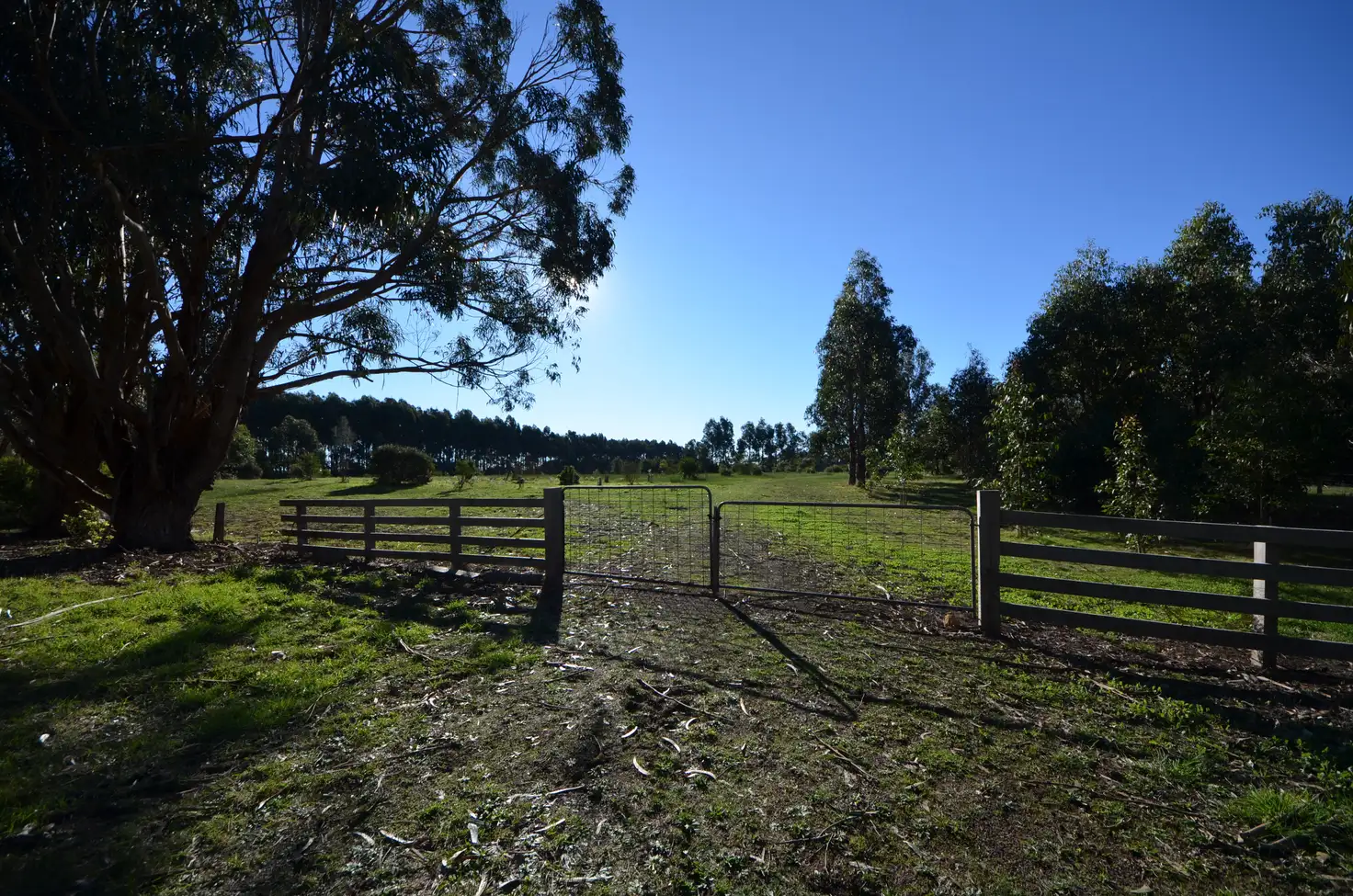 Main view of Homely land listing, LOT 2 Roys Lane, Portland VIC 3305