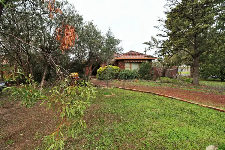 Main view of Homely house listing, 113 CLEELAND PLACE, Kerang VIC 3579