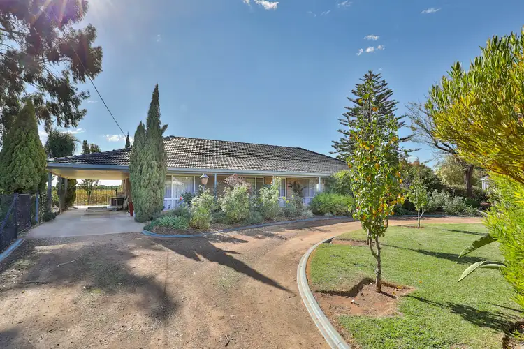 Fifth view of Homely house listing, 143 Azolia Street, Red Cliffs VIC 3496