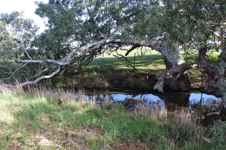 Fourth view of Homely land listing, 894 MCPHERSONS ROAD, Rokewood VIC 3330