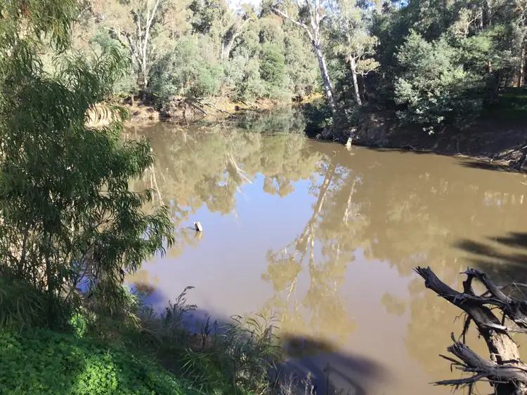 Third view of Homely house listing, 4 Belle Vue Court, Shepparton VIC 3630