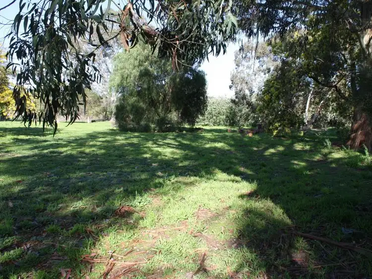 169 Williams Road, Millicent SA 5280