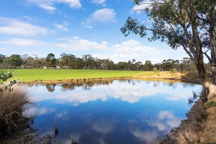 Fourth view of Homely rural property listing, 103 Gully Road, Welshmans Reef VIC 3462