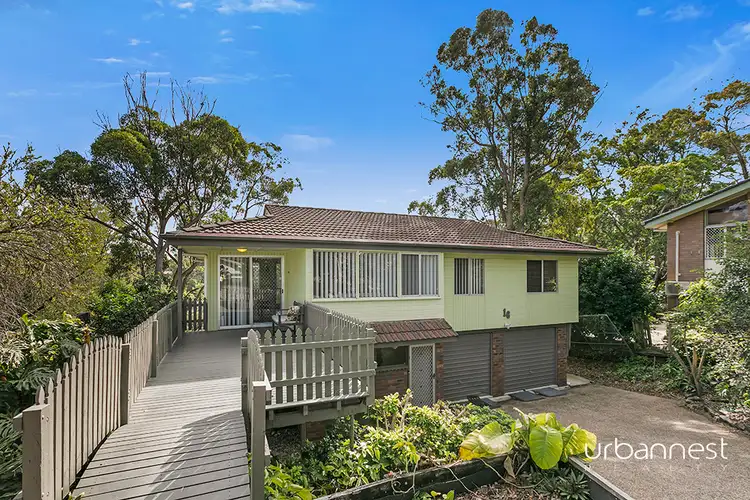 Main view of Homely house listing, 16 Pimelea Street, Everton Hills QLD 4053