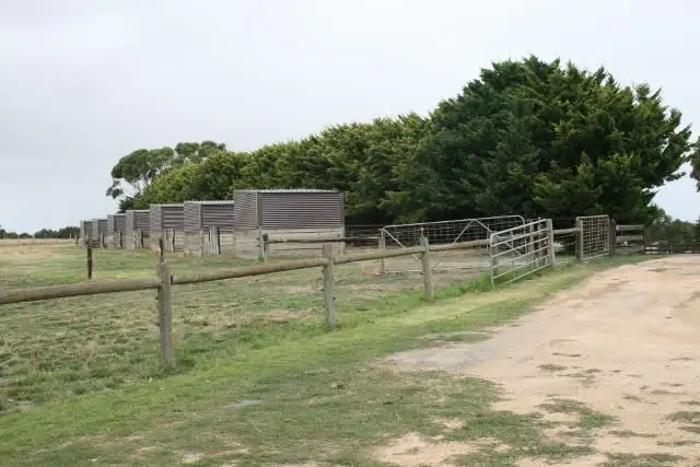 Sixth view of Homely rural property listing, 254 Caramut Road, Warrnambool VIC 3280