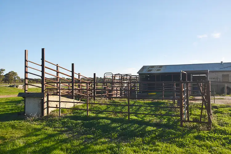 Third view of Homely rural property listing, 883 Hooper Road, Tatura VIC 3616