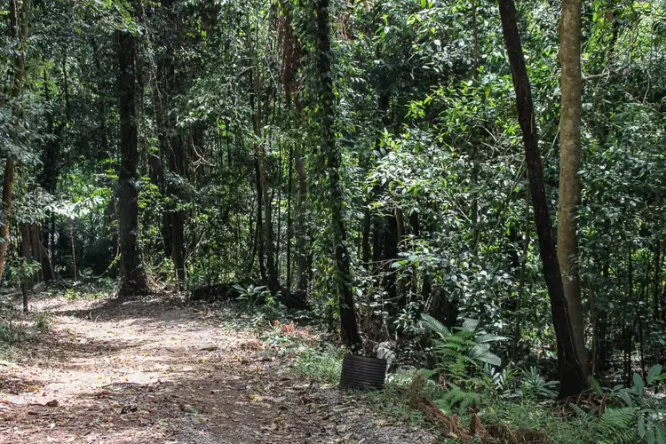 Second view of Homely land listing, 48L Intake Road, Redlynch QLD 4870