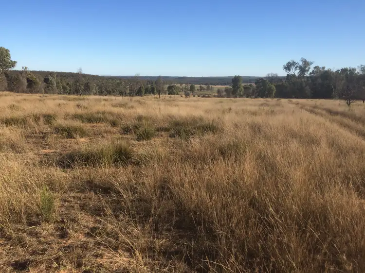 Main view of Homely rural property listing, Lot 113 Turill Bus Route Road, Turill NSW 2850