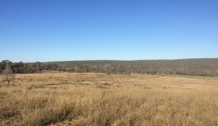Second view of Homely rural property listing, Lot 113 Turill Bus Route Road, Turill NSW 2850