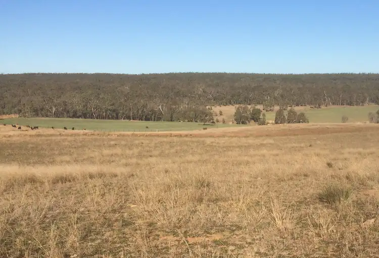 Third view of Homely rural property listing, Lot 113 Turill Bus Route Road, Turill NSW 2850